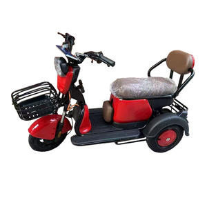 Factory Direct <strong>Sale</strong> Wholesale 600w 48v Electric Tricycles Electric Adult Tricycle Electric <strong>Trike</strong> Three Wheel Electric - Product Image 5