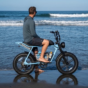 Vélo électrique à cadre en acier inoxydable avec <span class=keywords><strong>pneus</strong></span> larges 20x4.0, vélo de croisière côtier pour le transport estival des surfeurs sur la plage - Product Image 4