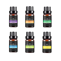 Set Minyak Esensial Alami 100% Murni 6 Botol - Lavender, Serai, Eucalyptus, dan Minyak Mint - 10ml