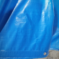 Bâche en PE noire robuste, imperméable et anti-UV, pour le contrôle des mauvaises herbes et le paillis paysager