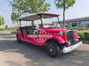 Coche Eléctrico de Turismo Vintage de Lujo para Adultos, 4 Ruedas, Batería de Plomo-Ácido, 4-17 Asientos, Baja Velocidad, Transporte Especial en Oferta - Product Image 2