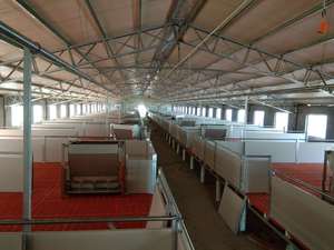 กรงเลี้ยงหมูสำหรับเด็กที่แข็งแรงและปลอดภัยสำหรับใช้ปูพื้นและป้อนได้สะดวกปากกาสำหรับสถานรับเลี้ยงเด็ก - Product Image 5