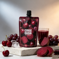 Pochettes souples à bec verseur personnalisées, imprimées en héliogravure, écologiques, recyclables, congelables, pour confiture de myrtilles, gelée et jus de fruits, 100ml, 200ml, 500ml
