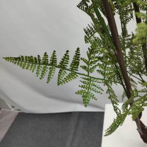 Nuevo diseño <span class=keywords><strong>de</strong></span> helecho artificial, <span class=keywords><strong>cola</strong></span> <span class=keywords><strong>de</strong></span> <span class=keywords><strong>caballo</strong></span>, Helecho en maceta <span class=keywords><strong>de</strong></span> plástico para decoración del hogar, paisaje <span class=keywords><strong>de</strong></span> suelo <span class=keywords><strong>de</strong></span> sala <span class=keywords><strong>de</strong></span> estar verde - Product Image 3