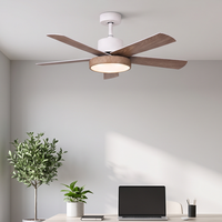 Ventilateur de plafond moderne silencieux européen DC 122 cm 5 pales en acrylique avec télécommande et lumière LED dimmable DC 36V 6 vitesses compatible salon