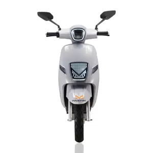 India Cheaper High Speed Electric Scooter 60V 20AH 1000w 1500w 2000w CKD Electric Motorcycle With Pedals Disc Brake