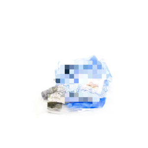 PT06SE106SSR NSMP Nuevo controlador de programación PLC dedicado PAC de automatización industrial listo original - Product Image 1