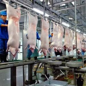 Prix d'usine Ligne d'<span class=keywords><strong>abattage</strong></span> halal boeuf chèvre bovin machine d'<span class=keywords><strong>abattage</strong></span> d'ovins équipement d'<span class=keywords><strong>abattage</strong></span> de bovins - Product Image 6