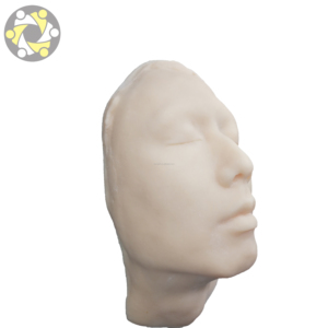 Mannequin facial en silicone avec os internes pour la chirurgie esthétique, la science médicale, modèle anatomique E0502 Chine - Product Image 4