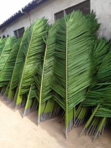 Tự nhiên tìm kiếm trong nhà ngoài trời lớn Trang trí sợi thủy tinh chống UV nhân tạo ngày cây cọ - Product Image 5