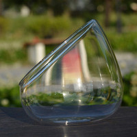 Bol de terrarium en verre de table à haute teneur en borosilicate en gros Vase oblique Pot de jardinière pour les plantes d'air succulentes en mousse