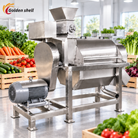 Machine à jus de carotte, betterave et gingembre, extracteur de jus industriel pour légumes et fruits, équipement de traitement