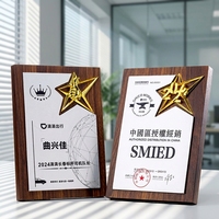 Guangzhou meilleure vente personnalisé sculpté en cristal en bois récompenses artisanat gravure lettres trophée Plaque avec base en bois matériau personnalisé