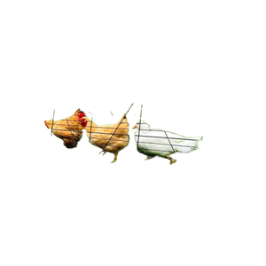 Túnel portátil para gallinas y conejos para exterior y patio, adecuado para gallineros, jaulas/cercas/túneles de jardín para patos. - Product Image 1