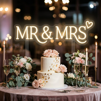 Enseigne lumineuse LED néon « Mr & Mrs » à lumière blanc chaud avec transformateur pour mariages, anniversaires, fêtes, hôtels, bars, décoration murale