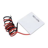Refroidisseur thermoélectrique TEC1-12706 Peltier TEC1-12705 12V 5A Cellules Éléments Peltier Module TEC1-12704 Module dissipateur thermique