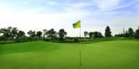 Golf-Rasen Putting Green Kunstrasen Putting Green Kunstrasenmatte