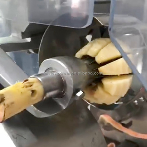 Machine à peler les agrumes de comptoir professionnelle, petite, pour citrons, pommes, kiwis, avec moteur, 110V/220V/380V, garantie 2 ans - Product Image 4