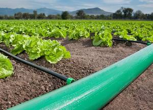 Landwirtschaft liche Wasser bewässerung Gartens ch lauch Langlebiger <span class=keywords><strong>PVC</strong></span>-beschichteter Schlauch - Product Image 6