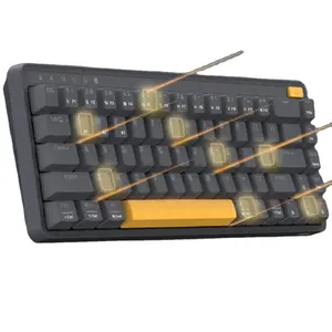 Miiw 68 कुंजी मिनी मैकेनिकल कीबोर्ड वायर्ड/वायरलेस लाल/नीले/भूरे रंग स्विच गेमिंग कीबोर्ड विंडोज के लिए कीबोर्ड