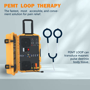 Pemf Portable Loop Artritis Alivio del dolor articular <span class=keywords><strong>Magnetoterapia</strong></span> Rehabilitación física Pemf Terapia magnética Pemf Pain Machine - Product Image 6