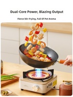 Réchaud de camping extérieur portable 5000W, à gaz butane, manuel, coupe-vent, chauffage infrarouge, équipement de cuisson pour pique-nique