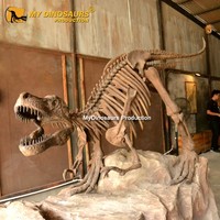 Mon Dino Taille Réelle Dinosaure Trex Squelette pour Center Commercial