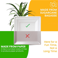 Assiettes carrées en bagasse de 6 pouces en gros, assiettes compostables en fibre de canne à sucre pour restaurant et buffet, approuvées LFGB, sûres pour les aliments