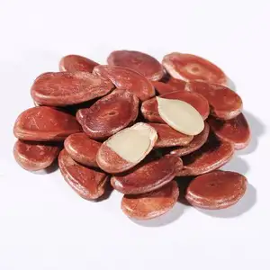Venta caliente de semillas de sandía roja Semillas de melón rojo disponibles para la exportación