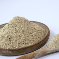 Poudre de champignon Shiitake naturel de qualité supérieure, séchée, en vrac, biologique et saine, fournie par l'usine au meilleur prix
