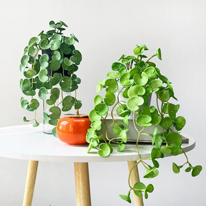 Mini Paquete de <span class=keywords><strong>suculentas</strong></span> con hojas de plantas artificiales para el hogar, arreglo de escritorio verde, decoración y colgante de pared - Product Image 2