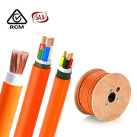 OEM Maßgefertigtes Australisches Standardkabel 2 3 4 Adern Erdung 4mm 6mm2 10mm2 16mm2 25mm2 35mm2 Kupfer X-90 XLPE PVC AU-Kabel RCM SAA-Kabel