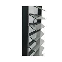 Volets en aluminium extérieurs amovibles personnalisés Persienne verticale