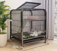 Offre Spéciale : Grande Cage Solide pour Chat, Villa à Trois Niveaux, Super Espace Libre, Maison de Luxe pour Chat, Vente en Gros