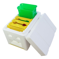 Apiculture reine élevage simple polystyrène accouplement Nucs ruche équipement mousse reine élevage ruche boîte pour apiculteur