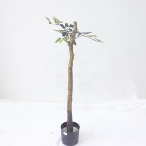 ต้นไทรเบนจามิน่าประดิษฐ์พับได้ ขนาด 180 ซม. ลำต้นธรรมชาติ ใบเหมือนจริง สัมผัสธรรมชาติ เหมาะสำหรับตกแต่งบ้าน สำนักงาน - Product Image 5