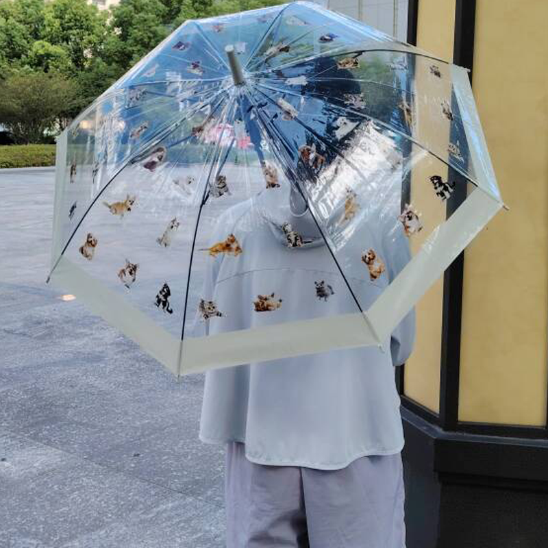 Pug Dog Umbrellas Durable, Waterproof DIY Customizable