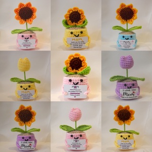 ขายส่งจากโรงงานโดยตรง ต้นไม้โครเชต์ขนาดเล็ก ดอกทานตะวัน ดอกเดซี่ กระถางต้นไม้ ของขวัญทำมือ ตุ๊กตาโครเชต์ขนาดเล็ก <span class=keywords><strong>ตลก</strong></span> สดใส ของขวัญดอกไม้โครเชต์ - Product Image 3
