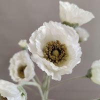 Nouvelle fleur de pavot artificielle en soie 2026, 5 têtes, multicolore, grande décoration de table pour la maison, pour la Fête des Mères, le Nouvel An, la Saint-Valentin