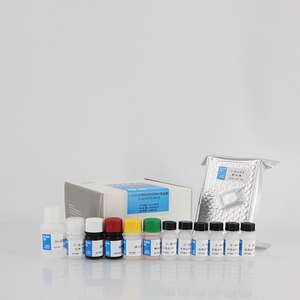 Kits de Diagnóstico para Ovejas, Brucelosis, Kit de Prueba <span class=keywords><strong>Elisa</strong></span> de Anticuerpos contra la Brucelosis - Product Image 4