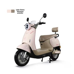 Moto électrique Little Turtle King, vélo électrique 60V/72V 1000W, moteur à moyeu arrière, 50KM/H - Product Image 2