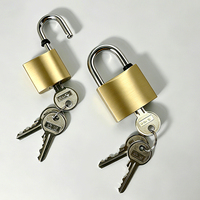 Cadenas antivol en laiton de haute qualité, personnalisable, avec verrouillage à clé, étanche IP65, avec anse en acier et double levier de verrouillage