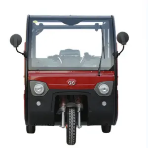 Canada country importing golf mini electric car cabin scooter model