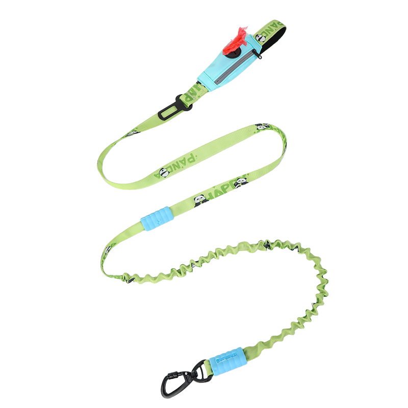 Gradient vert + bleu