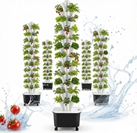 Système de culture hydroponique vertical à 60 trous pour plantes d'intérieur et de serre, système complet avec pompe et minuterie