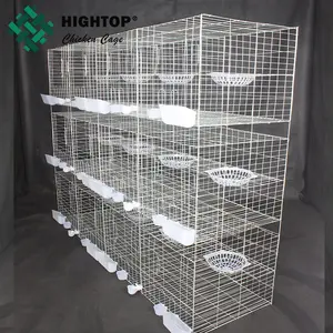 galvanized metal pigeon cage breeding with pigeon accessories for sale