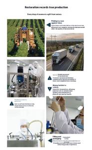 Essentiële Olie Geur Essentiële Aromatherapie Oliegroothandel Cosmetische Helichrysum Etherische Olie - Product Image 6