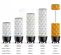 Système de culture verticale hydroponique pour l'agriculture intérieure, tour de culture d'ananas, tour de culture aéroponique