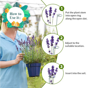 <strong>Plant</strong> Stakes for Flowers, <strong>Metal</strong> Single Stem <strong>Plant</strong> <strong>Support</strong>, Garden <strong>Plant</strong> Stakes for Amaryllis Orchid Lily Rose Tomatoes - Product Image 2
