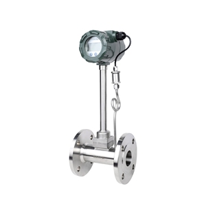 Medidor de Flujo de Acero Inoxidable de Alta Precisión, Compatible con Aire/Gas, Comunicación RS485, a Prueba de Explosiones, Personalizable OEM - Product Image 1